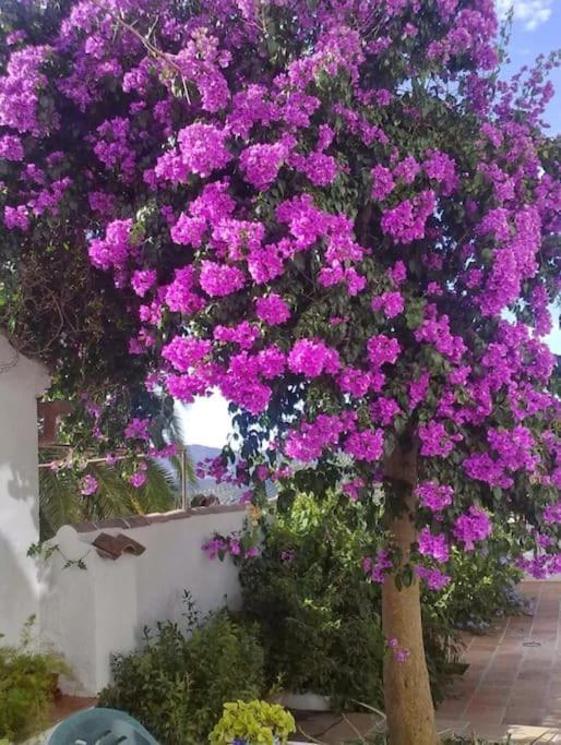 La Villa, Rural Hébergement de vacances
